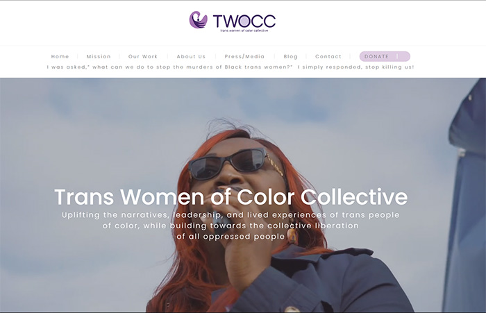 The Trans women of the color collective