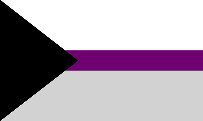 Demisexuality Flag