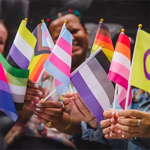 15 Multiple Gender Identity Flags-Cover