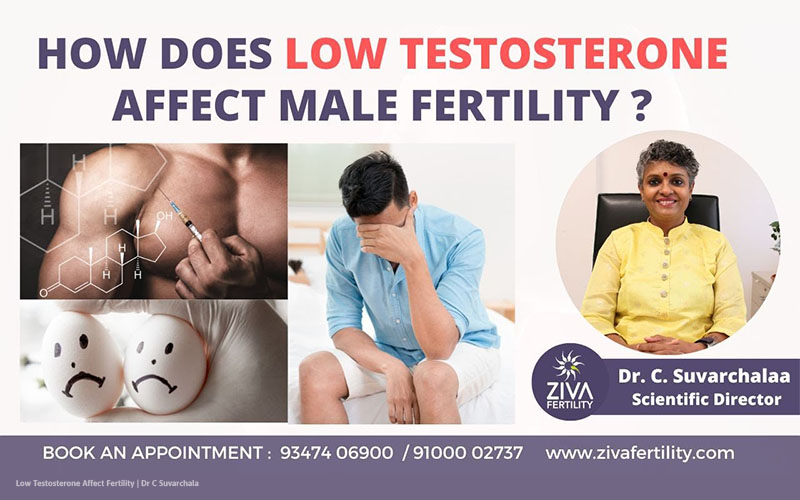 A Guide to FTM Sexual Health with a Focus on Post-Transition Care