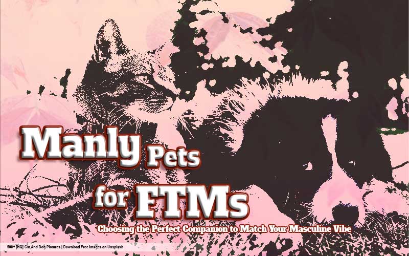 Manly Pets for FTMs: Choosing the Perfect Companion to Match Your Masculine Vibe.